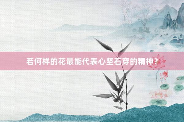 若何样的花最能代表心坚石穿的精神？